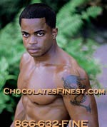 black male exotic dancers-chocolatesfinest.com